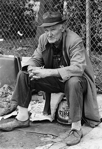 <i>Newell Yard Jungle</i> &nbsp San Jose, CA