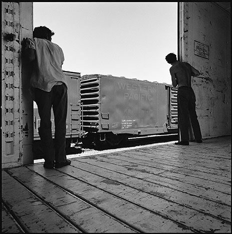 <i>Catching Out</i> &nbsp Elko, NV