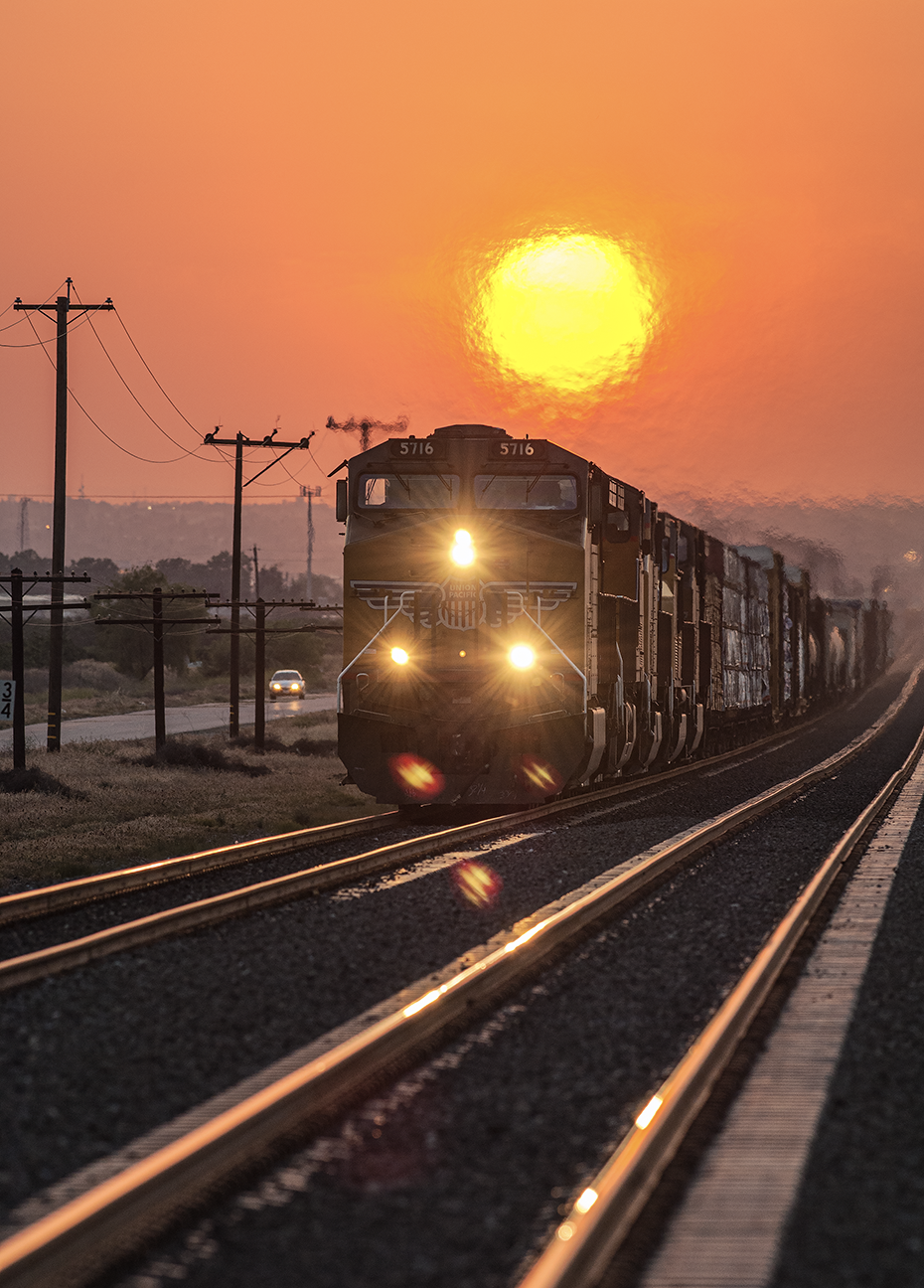 <i>Sandcut</i> &nbsp San Joaquin Valley
