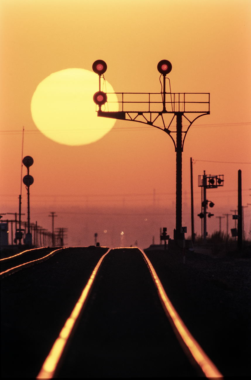 <i>Sandcut</i> &nbsp San Joaquin Valley