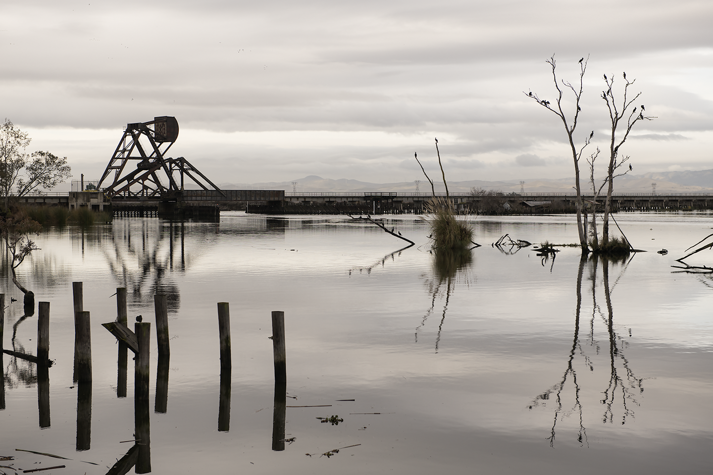  <i>Holt Rail Bridge</i> &nbsp San Joaquin Valley