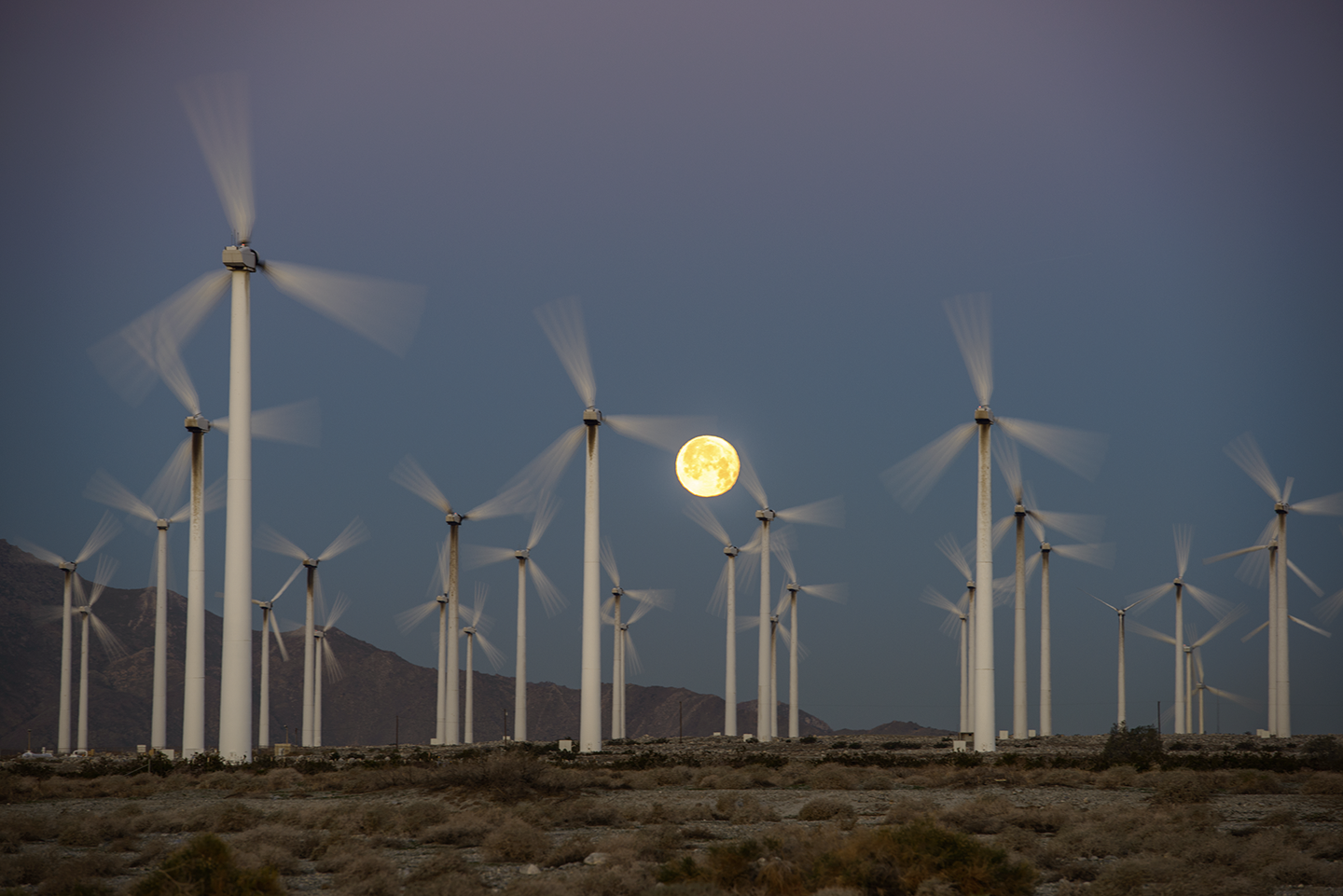 <i>Palm Springs</i> &nbsp 