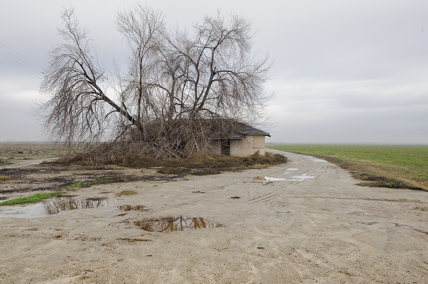 <i>Hwy. 58</i> &nbsp San Joaquin Valley